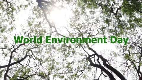 5 June World Environment Day Footage. Stock Footage 238889086