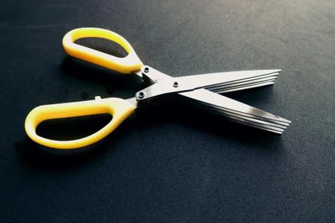 5 Layers,Multi-Layer, Scissors Sushi Shredded Scallion Cut Herb Tool Multi-la Stock Photos