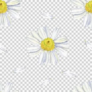 5 pattern romashka Stock Illustration