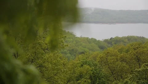 5 rack rain on leaves Stock Footage 3880161