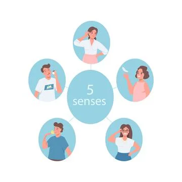 5 senses flat color vector faceless character Stock Illustration