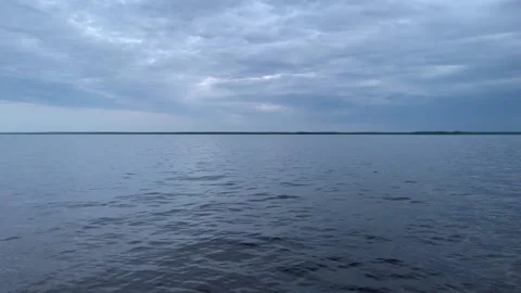 5 small waves on the lake and flying insects Video stock 170612253