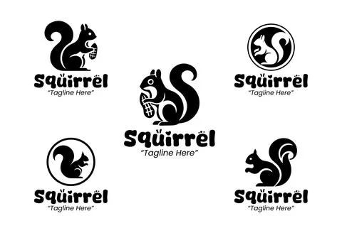 5 Squirrel Logo Set Black and White Modern Minimalist Animal Brand Design Stock Illustration