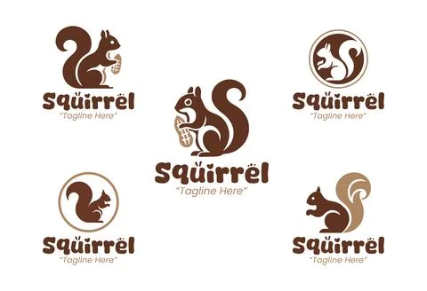 5 Squirrel Logo Set Modern Minimalist Animal Brand Design Stock-Illustration