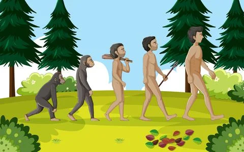 5 stages of human evolution cartoon Stock Illustration