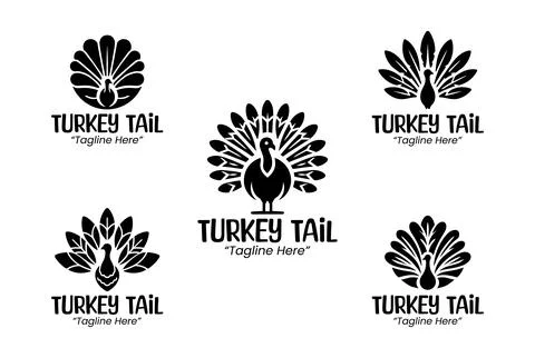 5 Turkey Tail Logo Set Black and White Modern Minimalist Animal Brand Design Stock Illustration