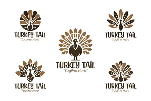 5 Turkey Tail Logo Set Modern Minimalist Animal Brand Design Illustration
