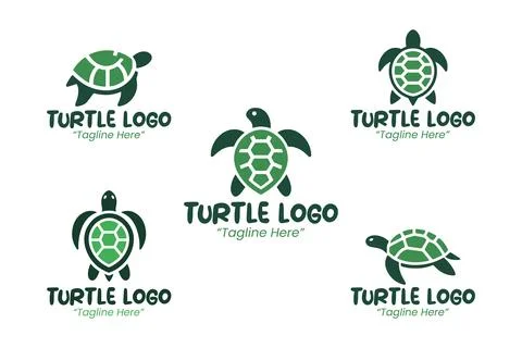 5 Turtle Logo Set Modern Minimalist Animal Brand Design Stock Illustration