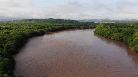 5 VARIOS Stock Footage 136203868