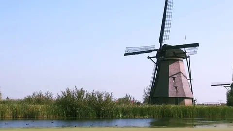   5 Windmills by the river in Kinderdijk Stock Footage 85394041