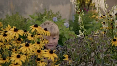 5-year-old blond boy with blue eyes is hiding among beautiful yellow flowers 스톡 동영상 321622800