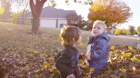 5 year old boy comforts grumpy toddler, then tackles him into pile of leaves 스톡 동영상 94007230