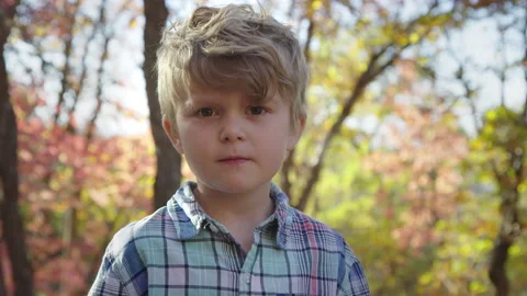 5 year old boy in forest looks into camera with straight faced expression 8K Vídeo Stock 194460921