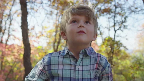 5 year old boy happily looks up to the sky in forest at sunset slow motion Video stock 194460757