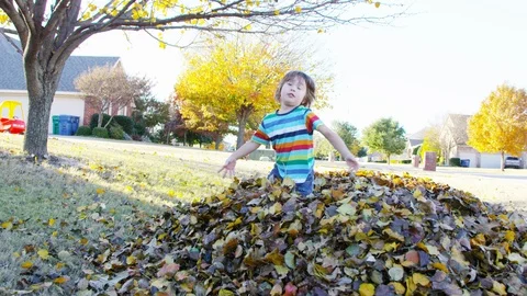 5 year old boy kicks through a huge pile of leaves Stock Footage 93889674