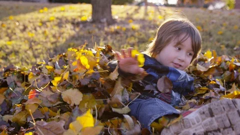 5 year old boy rolls around in a pile of leaves Stock Footage 93961604