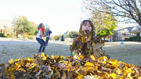 5 year old boy stands and throws leaves toward the camera Stock Footage 93889641