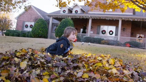 5 year old boy throws an armful of leaves into the air 스톡 동영상 93886773