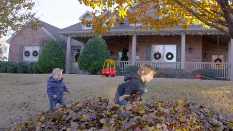 5 year old boy throws an armful of leaves into the air as toddler watches on 스톡 동영상 93887118