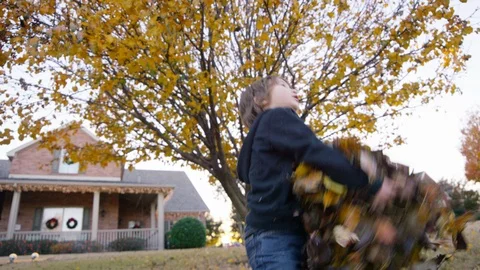 5 year old boy throws a bunch of leaves over his head Stock Footage 93888802