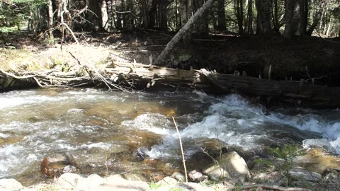 50 seconds of video of a high mountain river with clear and clean water Stock Footage 188044203