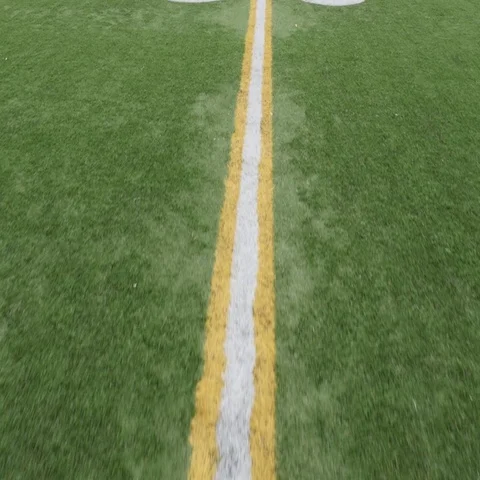 50 Yard Line Stock Footage 69288733