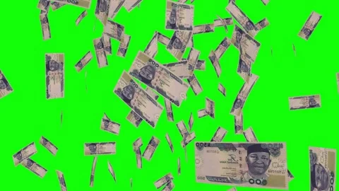 500 NIGERIAN NAIRA notes falling Green screen Stock Footage 258459323