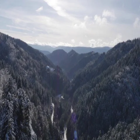 5000-003 Stock Footage 69541567