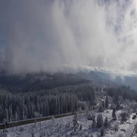 5000-004 Stock Footage 69540415