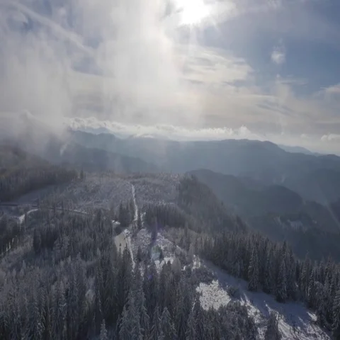 5000-005 Stock Footage 69540502