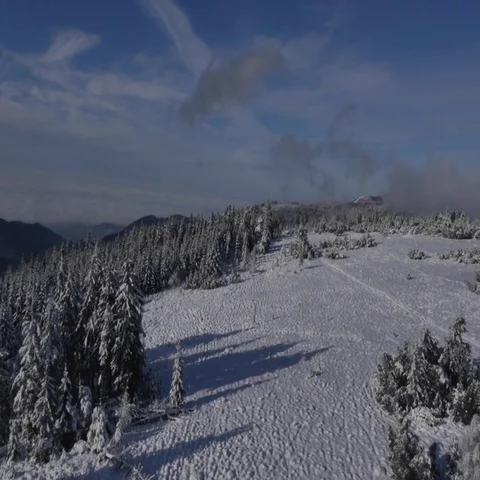 5000-008 Stock Footage 69541748