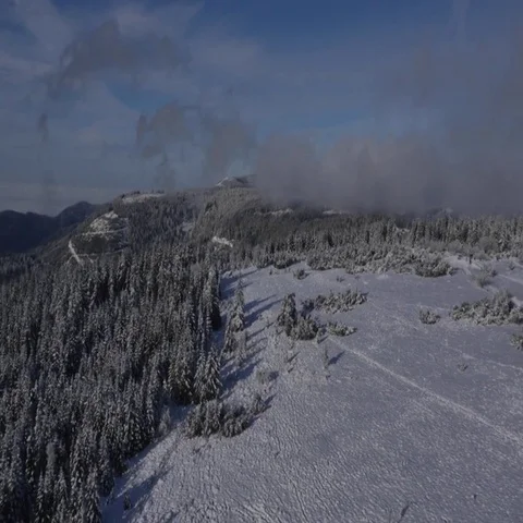 5000-009 Stock Footage 69541750