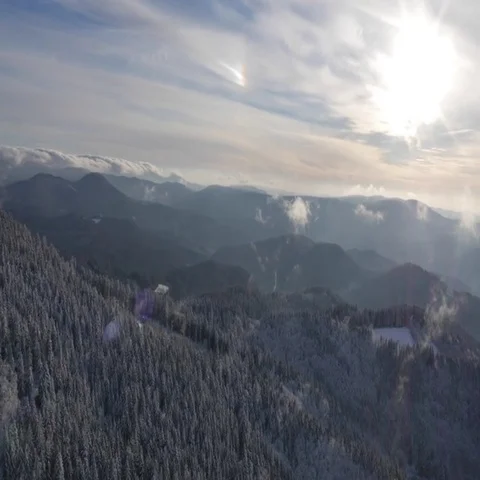 5000-010 Stock Footage 69543691