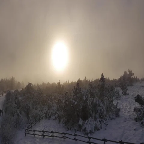 5000-012 Stock Footage 69543700