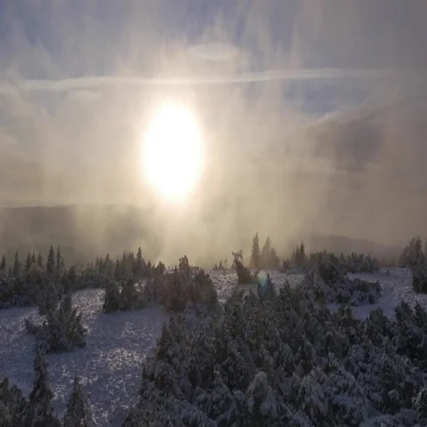 5000-013 Stock Footage 69544306