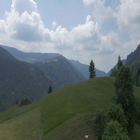 5000-037 Stock Footage 69553840