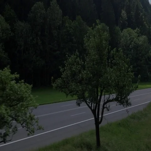 5000-043 Stock Footage 69548762