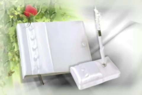 5014 The Guests Sign In  Stock Footage 643683