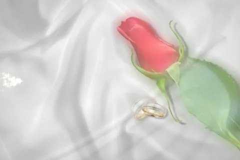 5015 The Rings  Stock Footage 643679