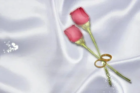 5017 The Rings  Stock Footage 643616