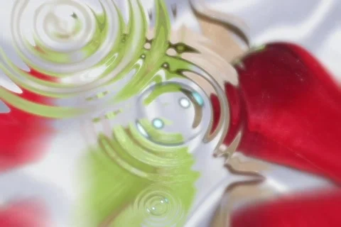 5020 Reflective Bubble Pool w/Roses  Stock Footage 643556