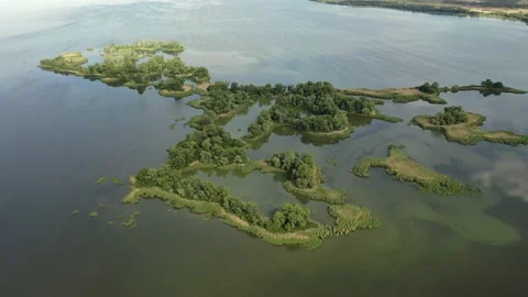 5,02,06 Stock Footage 131911307