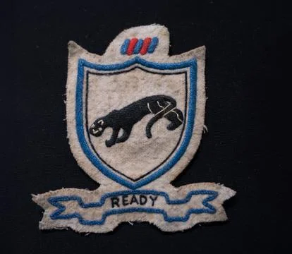 505th Airborne Infantry Regiment patch Stock Photos
