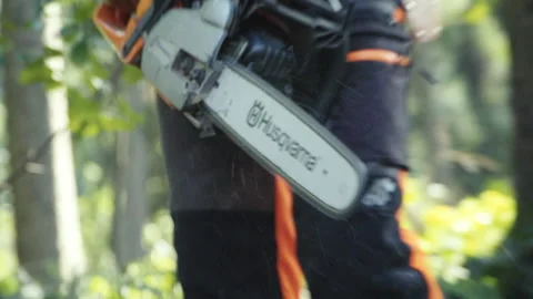 (50p) Lumberjack cutting tree with a chainsaw - handheld action movement Stock Footage 201095302