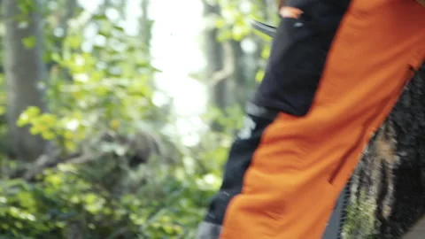 (50p) Lumberjack cutting tree with a chainsaw - handheld action movement Stock Footage 201097804