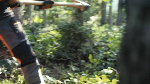 (50p) Lumberjack hitting a wedge with an axe Stock Footage 201091943
