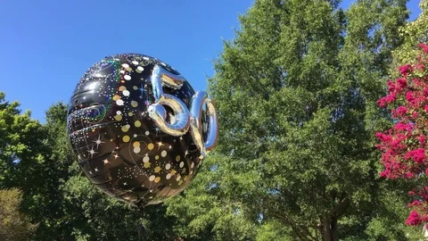 50th birthday balloon Stock Footage 79644960