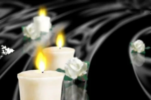 5101 The Reception  Stock Footage 643266