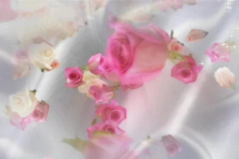 5115 Tossing the Bouquet Stock Footage