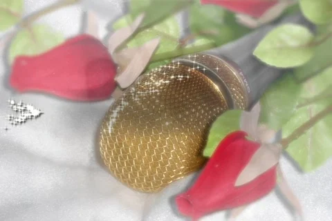 5119 Interviewing the Guests at the Reception Stock Footage 642728